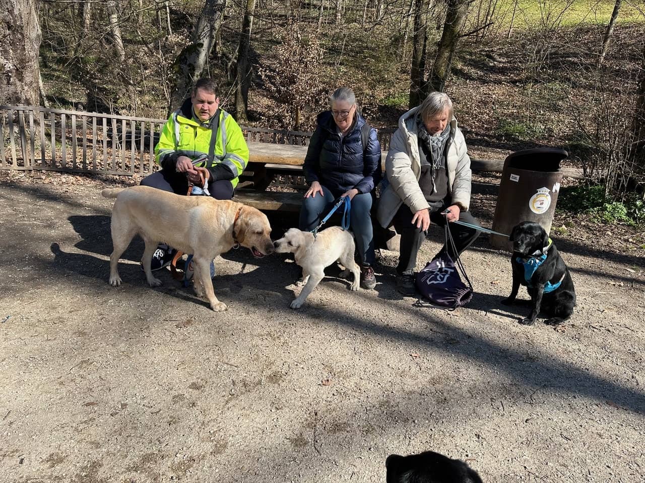 Ariane et 3 des chiens qu'elle a parrainés pour la Fondation Romande de chiens-guides. Elle est accompagnée de Joey, son 10ème chiot. À sa gauche, Ethos, qui guide urbi et orbi Patrick, son détenteur. À sa droite, Yuka, ma jeune retraitée qui se promène maintenant avec David
