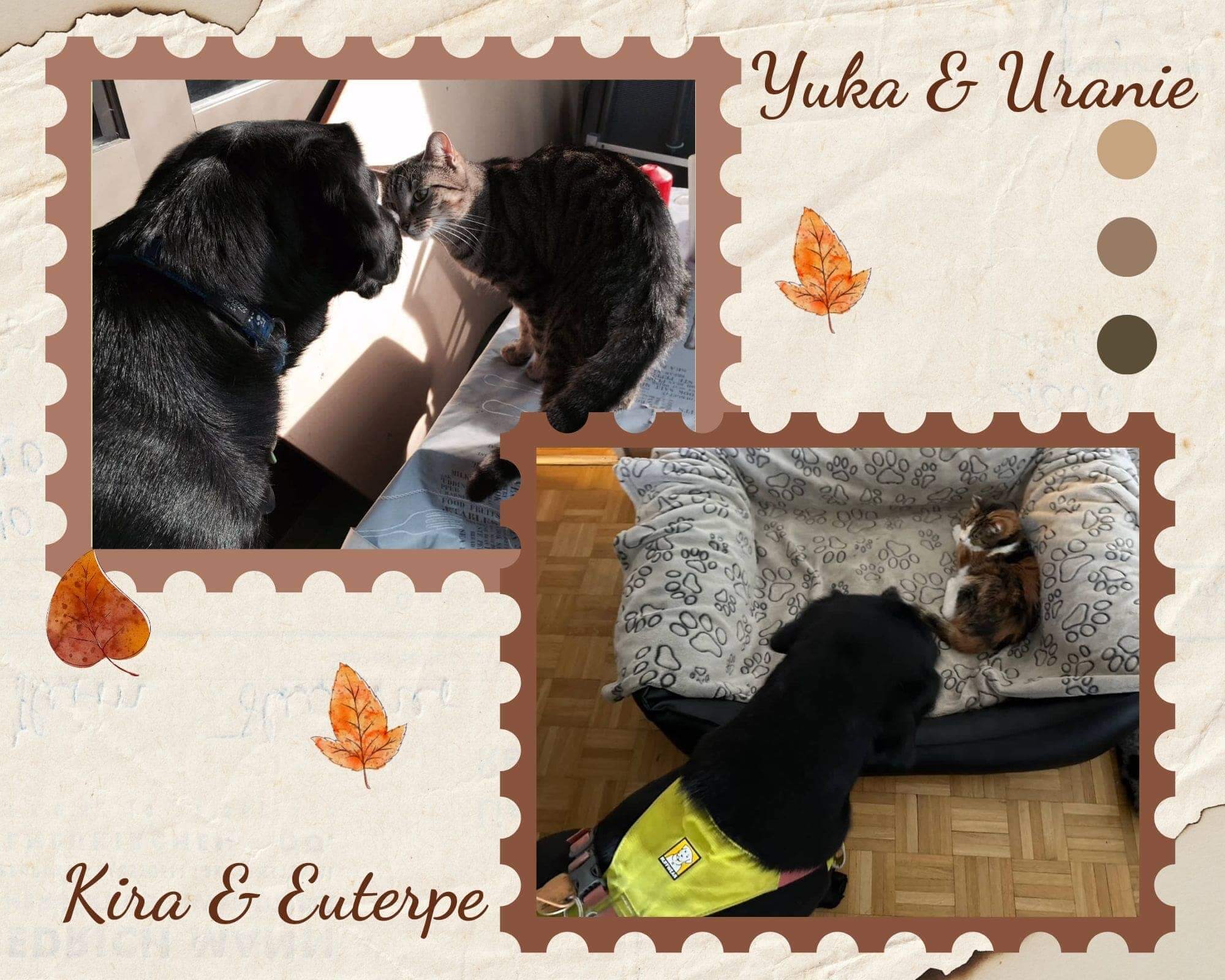 Un collage comprenant deux photos : Une avec Yuka et Uranie, l'autre avec Kira et Euterpe