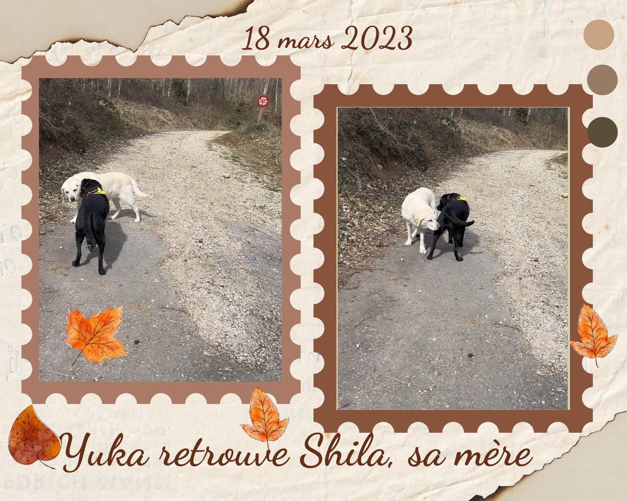 Un photomontage de Yuka et de Shila, sa maman, qu'elle a pu rencontrer lorsqu'elles avaient 11 et 14 ans