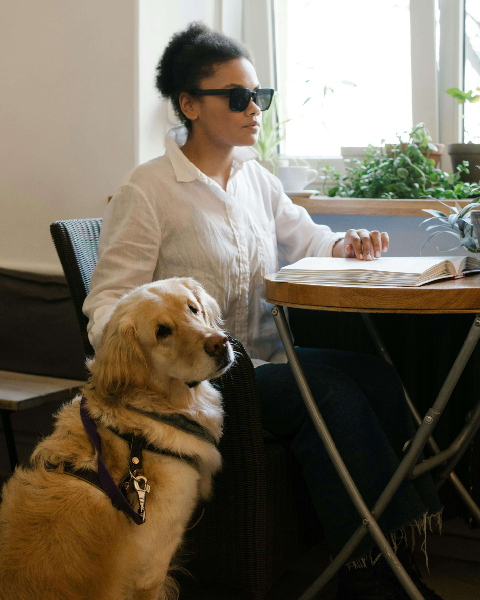 Une jeune femme, portant des lunettes noires, est attablée et lit un livre en braille. Un golden, portant son harnais de chien-guide, est assis à côté d'elle