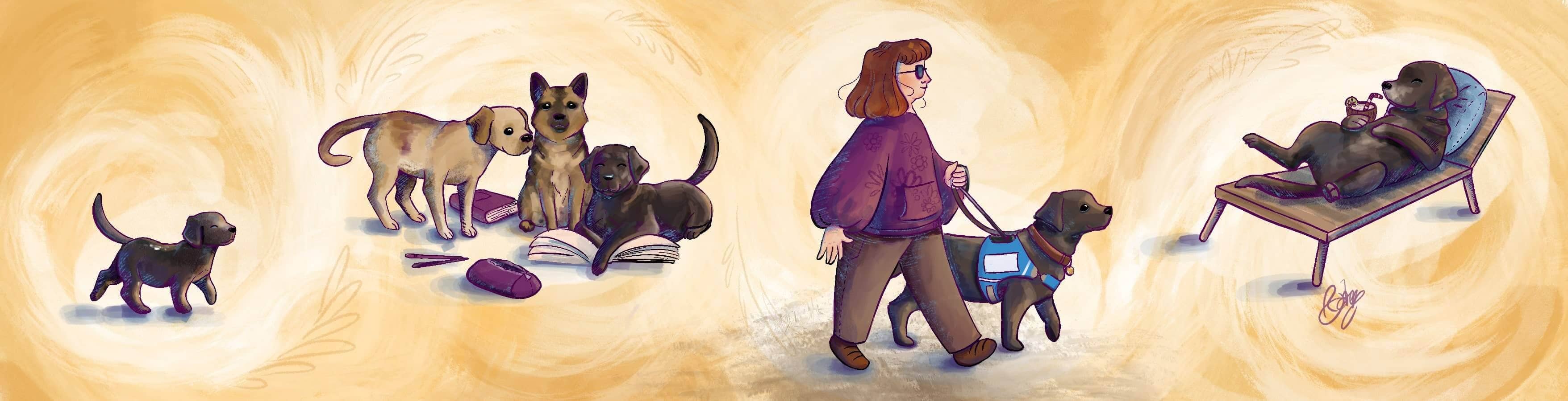 une bannière dessinée par Chloé montrant l'évolution d'un chiot, labrador noir, puis il est en classe avec un labrador beuge et un berger allemand, enfin il me guide et finalement il est confortablement installé sur une chaise longue, un verre cocktail et une paille en direction de sa gueule. C'est l'heure de la retraite qui a sonné !