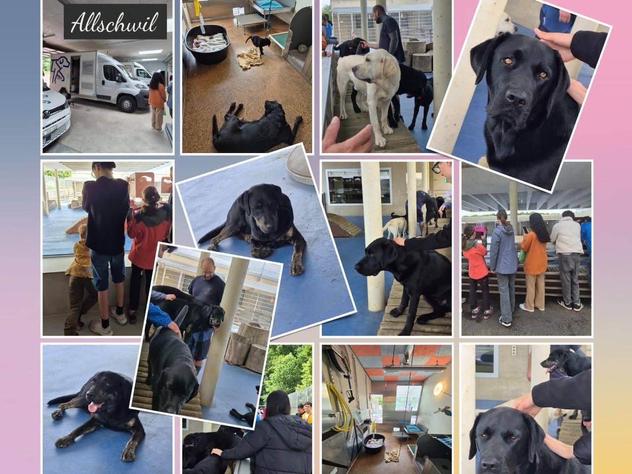 un collage de 13 photos résumant la visite de la classe de Sirja à Allschwil