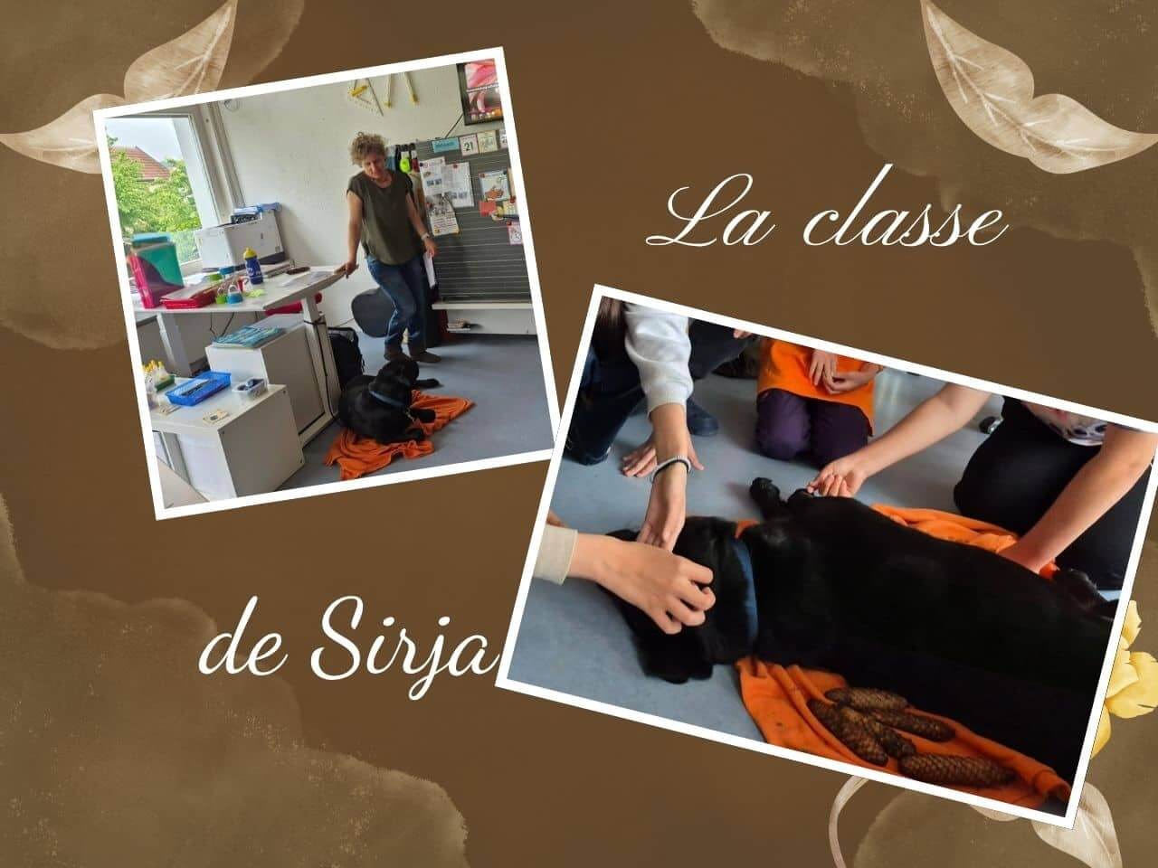 un collage de 13 photos résumant la visite de la classe de Sirja à Allschwil