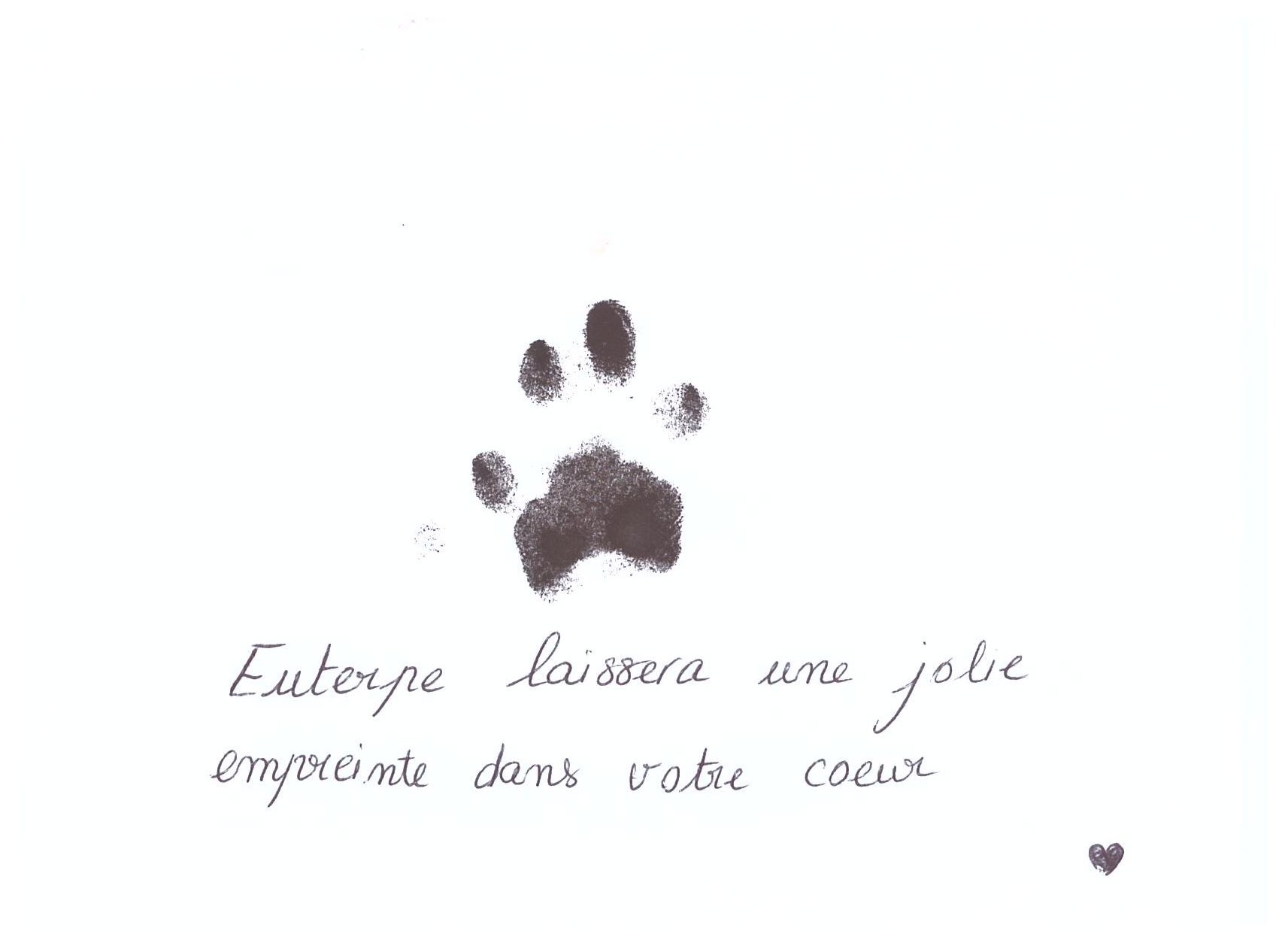 Empreinte d'une patte d'Euterpe avec l'inscription : Euterpe laissera une jolie empreinte dans votre cœur
