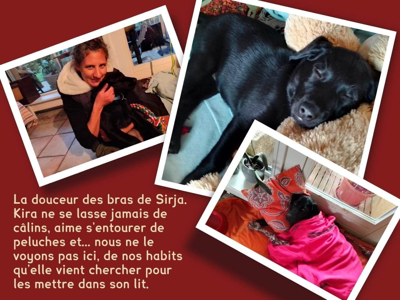 Un collage de 3 photos où on voit Kira dans différents contextes: dans les bras de Sirja, entourée de peluche ou de couverture